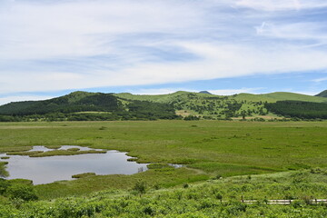 夏の八島湿原／長野県