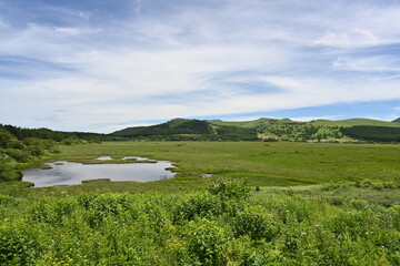 夏の八島湿原／長野県