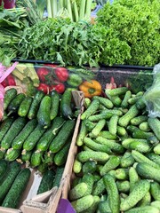 Fresh Green Vegetables at Farmers Market
