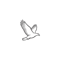 vector illustration of a dove