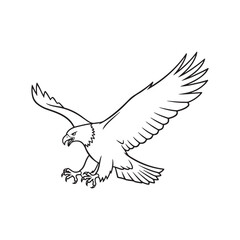 dove flying in the sky