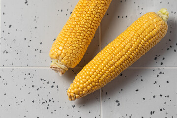 corn cobs on a light background, fresh corn