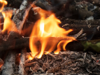 Close-up of burning wood embers and dancing flames