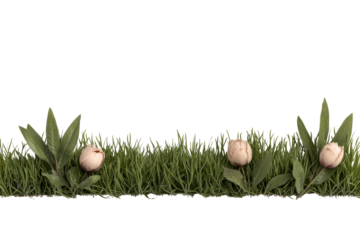 Easter Egg Hunt in Green: Delicate Easter eggs nestle amidst vibrant green grass, embodying the spirit of spring and the joy of the season.