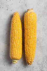 corn cobs on a light background, fresh corn