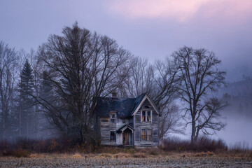 Abandoned wooden house surrounded by misty trees at twilight