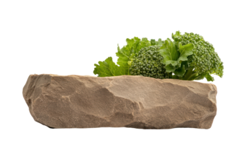Fresh Broccoli and Stone: A close-up shot of a rough-hewn stone ledge holds a vibrant cluster of fresh broccoli, with a lush green ambiance, highlighting nature's simplicity and healthy eating.