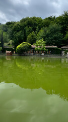 Fototapeta premium lake in the park