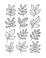 Botanical Illustration Featuring an Assortment of Leafy Sprigs and Branches
