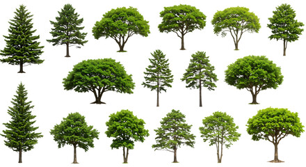 Collection of various green trees isolated on transparent background