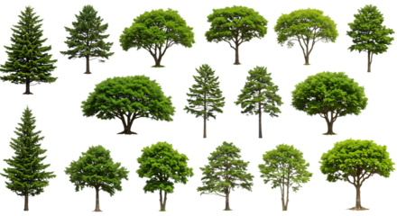 Collection of various green trees isolated on transparent background