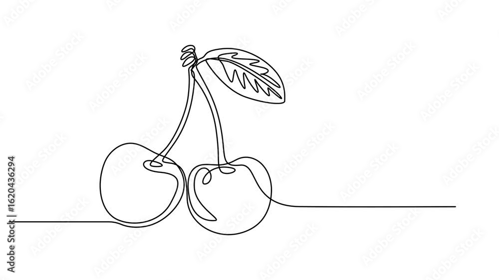 Poster cherry single line animated illustration. one continuous self drawing line animation, footage of che