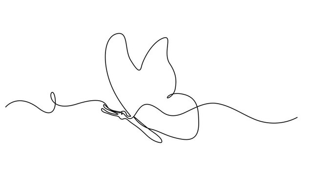 Butterfly, one line drawing animation, video clip with alpha channel, Butterfly flight continuous line drawn animation, Animated self drawing of 
Butterflies are flying and will land on flowers video.