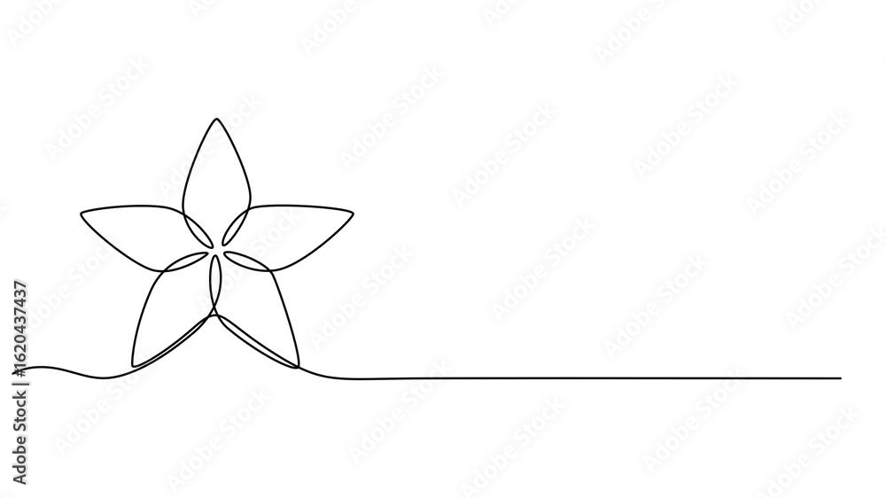 Aufkleber animation of a single line drawing of a star. continuous contour movement of a star. continuous vide