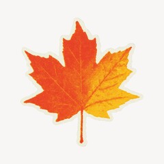 Vibrant autumn maple leaf illustration.