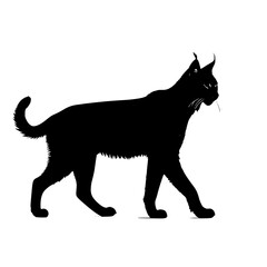 Lynx vector shilouted 
