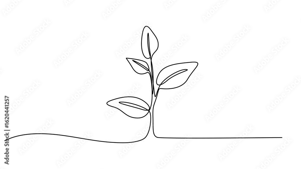 Poster sprout in the ground. one line drawing animation with alpha channel, growing tree animation continuo