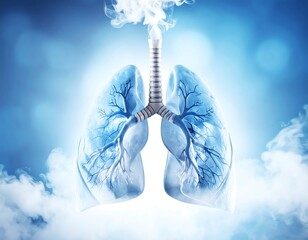 Lungs affected by smoke