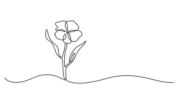 Abstract thorny flower thistle, milk thistle, silybum, Self drawing animation one continuous line draw, logo, Continuous one line drawing of beautiful wild flowers chamomile motion design. Single line