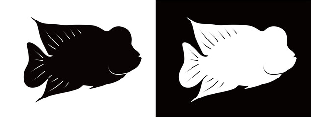 Silhouette of a flowerhorn fish isolated on a black and white background. Vector illustration of a flowerhorn fish. Ornamental fish concept.