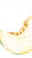 Melon painted with watercolors on a white background