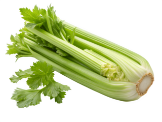 Happy young boy with blonde hair pointing forward with a smile