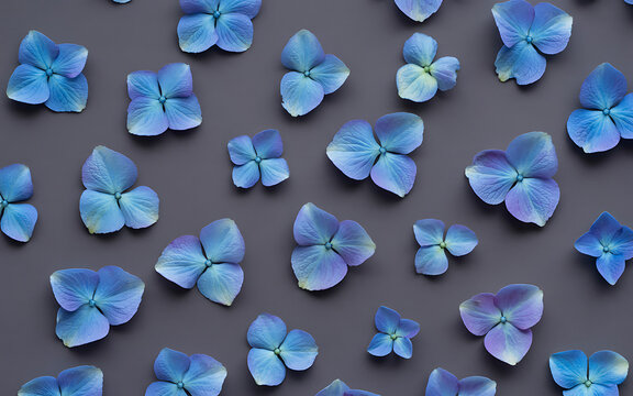 Blue hydrangea petals scattered on a gray background, top view