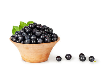 Blueberries isolated on a white background, contour