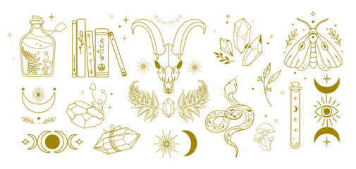 Mystic Boho Elements Collection in Line Art Style. Occult symbols crystals, goat skull, Wicca books, serpent, herbs, potion,moon phases, for tattoo, print, branding, posters, spiritual content. Vector