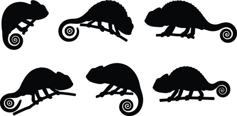 Chameleon silhouette vector collection, reptile animal illustration, curled tail lizard icons, jungle wildlife clipart, exotic nature design for t-shirt, decor, and digital artwork