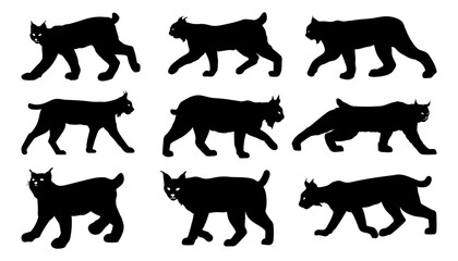 animal lynx silhouette
