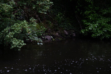 At the Banks of the Liffey