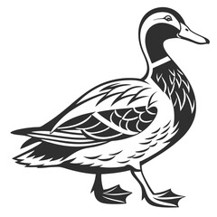 Black and White Duck Drawing – Clean and Simple Line Art Vector