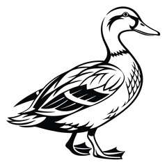 Black and White Duck Drawing – Clean and Simple Line Art Vector