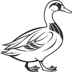 Black and White Duck Drawing – Clean and Simple Line Art Vector