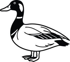 Black and White Duck Drawing – Clean and Simple Line Art Vector