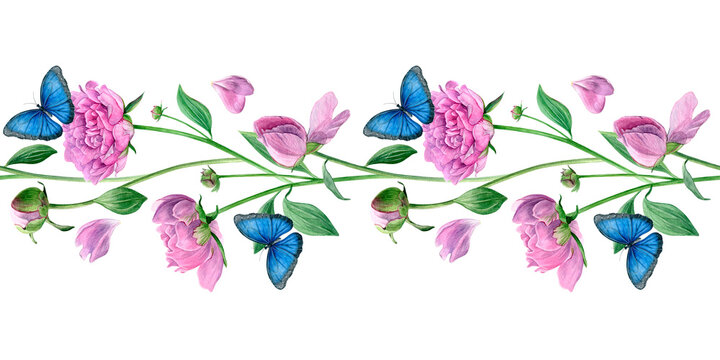 Seamless border with pink peonies and blue butterflies. Watercolor summer flowers isolated on a white background. Good for wallpaper, fabric and greeting cards