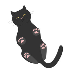Cute cat standing on glass surface and looking down. Standing cat bottom view. Vector illustration