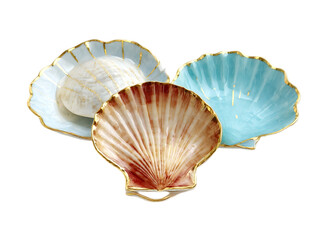 Sea Shell Glossy Dish Set Luxury Ocean Inspired Tableware