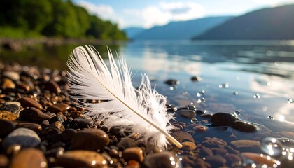 A white feather rests on a pebbled shoreline beside a lake