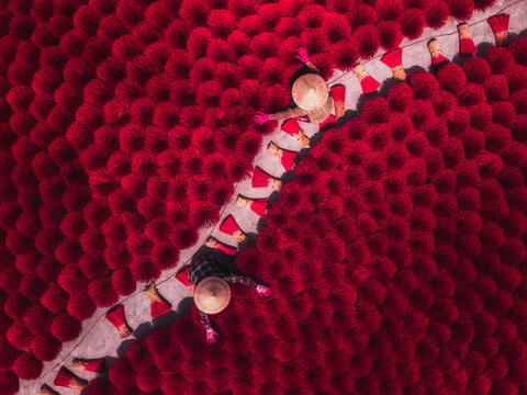 Aerial view of vibrant red incense sticks laid out to dry, creating a striking contrast with the workers in traditional hats, Quang Phu Cau, Hanoi, Vietnam.