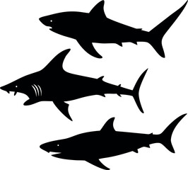 Obraz premium shark vector illustration