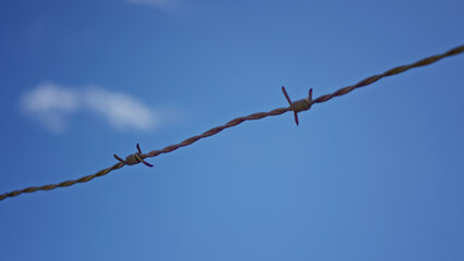 Close-up of barbed wire against a blue sky, highlighting a sense of isolation and security in an outdoor setting with focus on the texture.