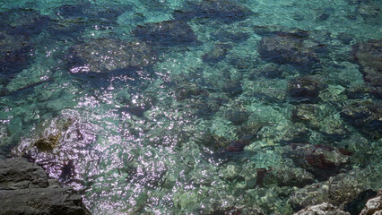 Sparkling turquoise water and rocky shores at a picturesque beach in mallorca, showcasing the mediterranean's vibrant and clear sea life in stunning detail.