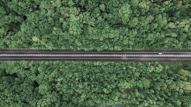 일본 홋카이도 울창한 숲속을 지나는 철도 선로 수직 드론 항공뷰 (Top-down aerial drone view of railway tracks passing through a lush forest in Hokkaido, Japan)