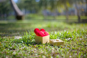 Red hearts in a Valentine gift box in the park