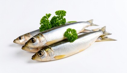 Fresh fish arranged with parsley on a clean white background, ideal for culinary presentations