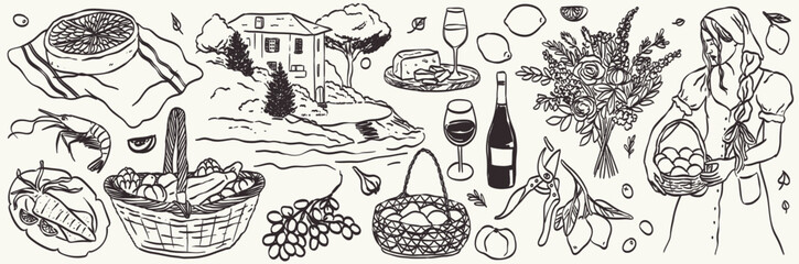 Italian or french style rustic autumn vacation hand drawn vector illustrations in ink doodle sketch style. Summer grape or lemon harvest drawings for poster, placard print, travel or wedding cards. © KPstudio