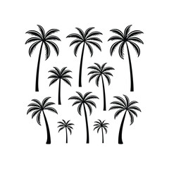 palm trees silhouettes