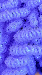 Curly Hair Texture. Vibrant Purple Curly Locks